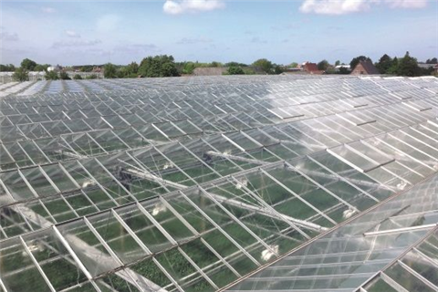 如何徹底清除溫室遮陽劑？