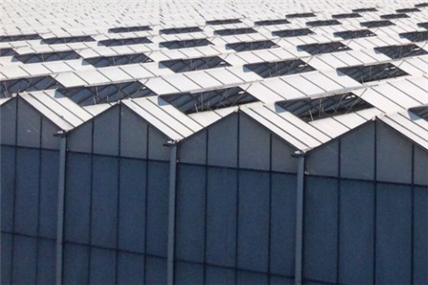 遮陽劑是什么？