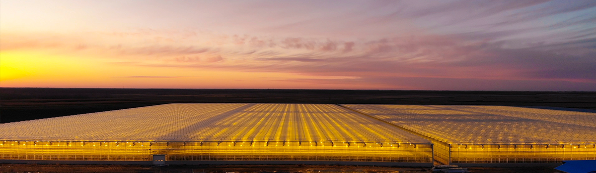 宏福農(nóng)業(yè) -大慶-12.5公頃 震撼來(lái)襲！